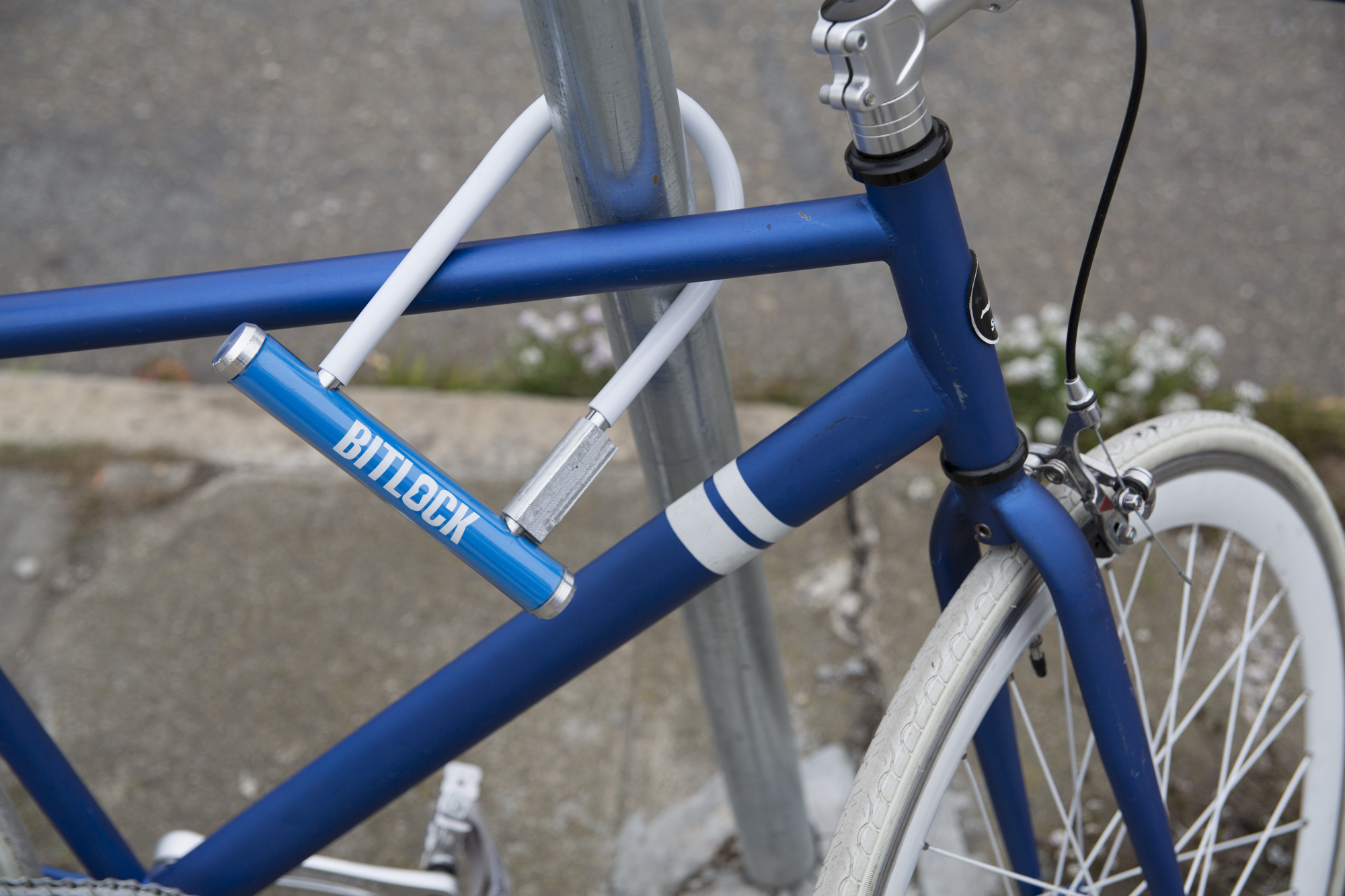 Cycle Insurance
