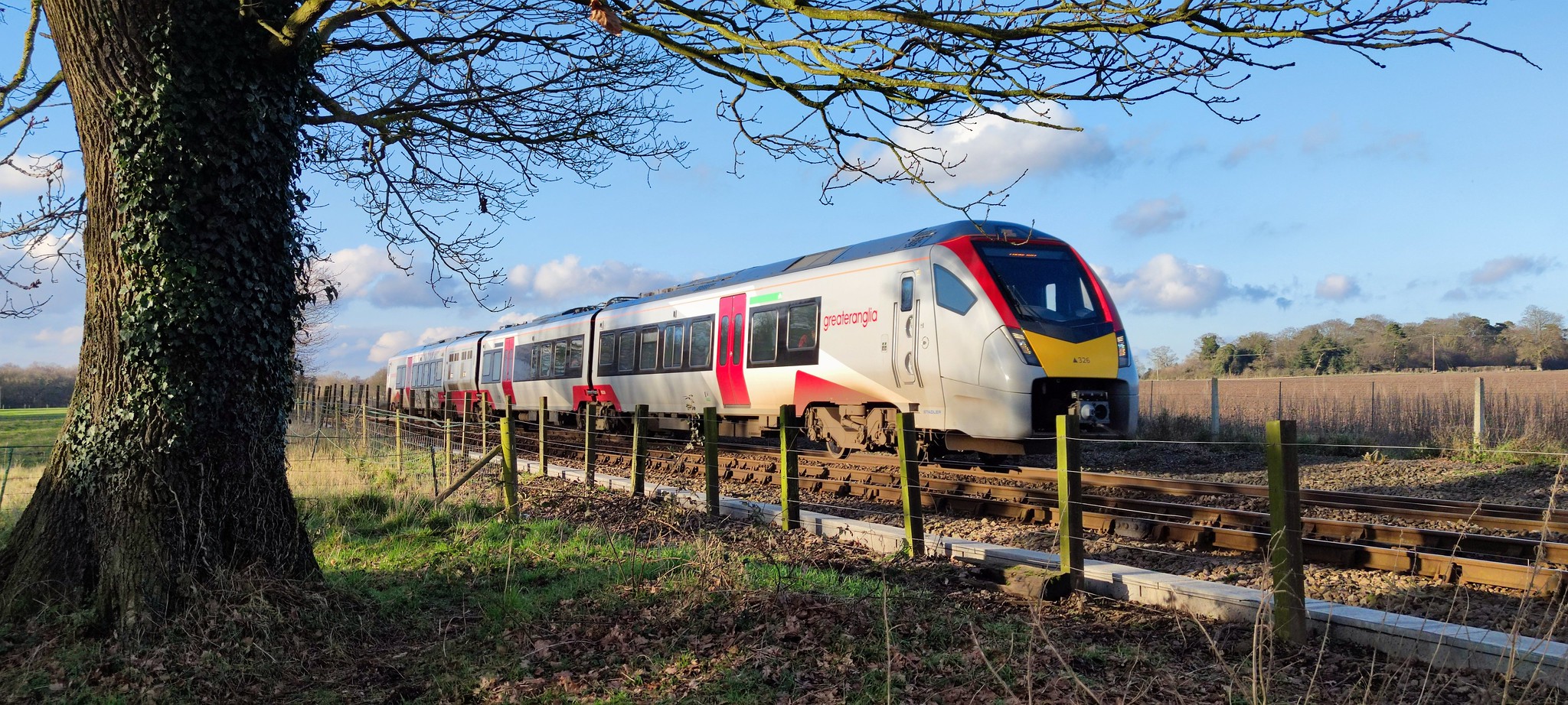 Public Transport’s Convenience Cost-Saving Power